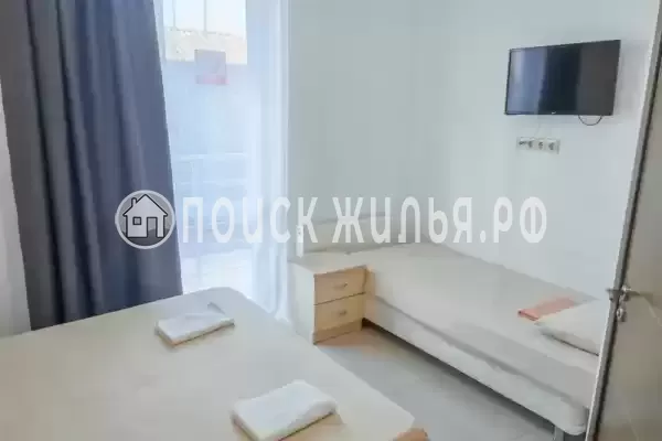 «Виноград» «Виноград»