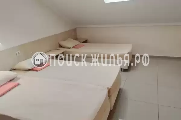 «Виноград» «Виноград»