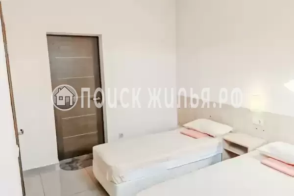 «Виноград» «Виноград»