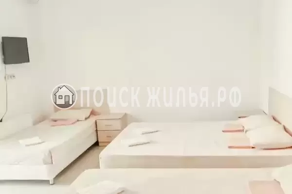 «Виноград» «Виноград»