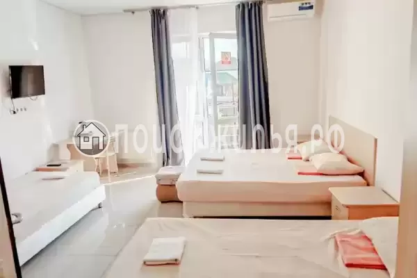 «Виноград» «Виноград»