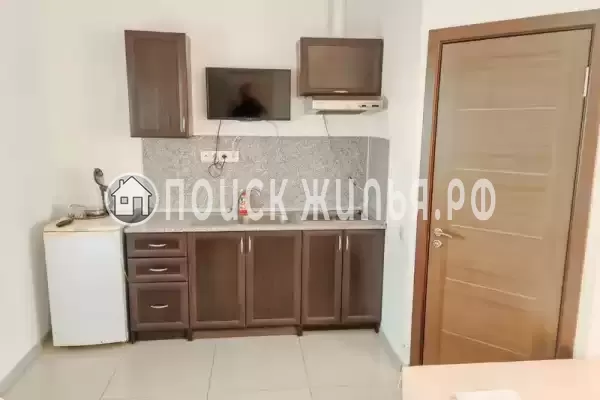 «Виноград» «Виноград»