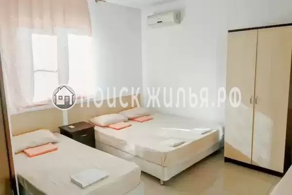 «Виноград» «Виноград»