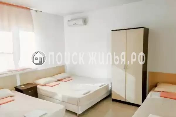 «Виноград» «Виноград»