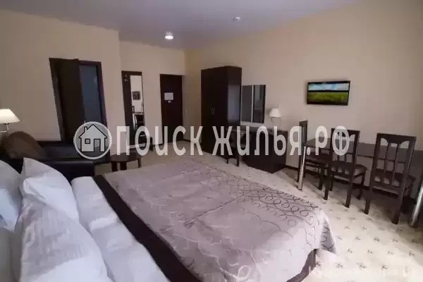 «Арлекино»