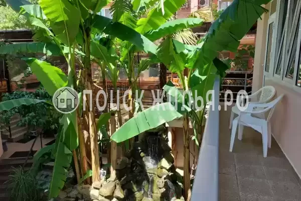 Отель «Арго»