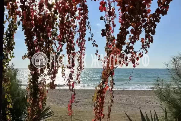 Гостевой дом «Арго» Гостевой дом «Арго»