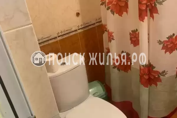 «Дэвид» «Дэвид»