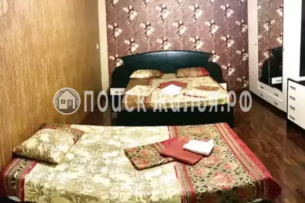 «Дэвид» «Дэвид»