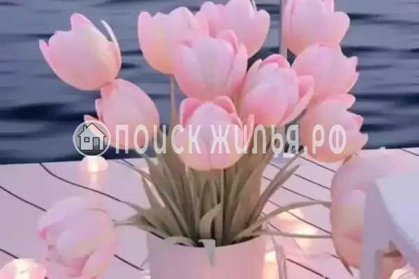 Частный сектор «Калипсо» Частный сектор «Калипсо»