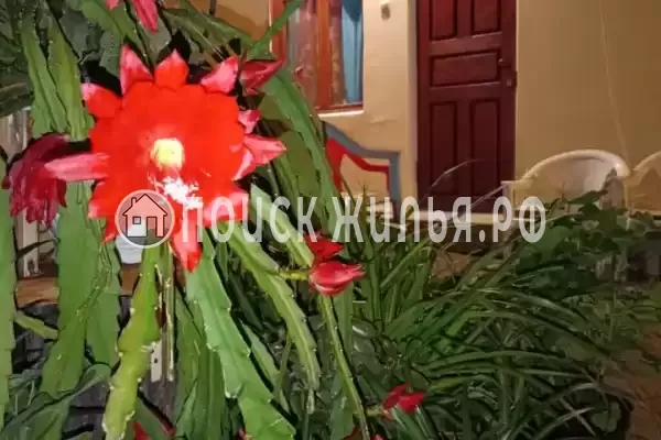 Частный сектор «Калипсо» Частный сектор «Калипсо»