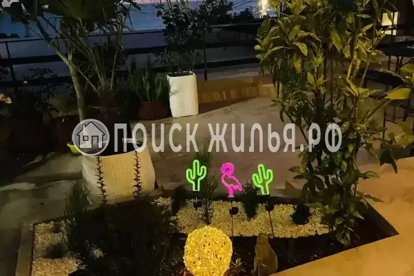 «На Мирной»