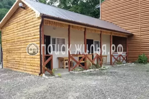 «Надежда» «Надежда»