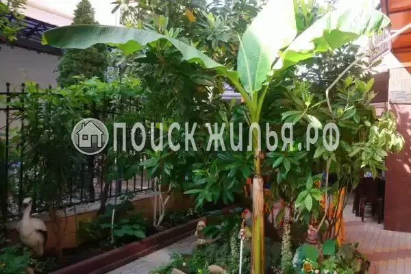 «Дивноморье»