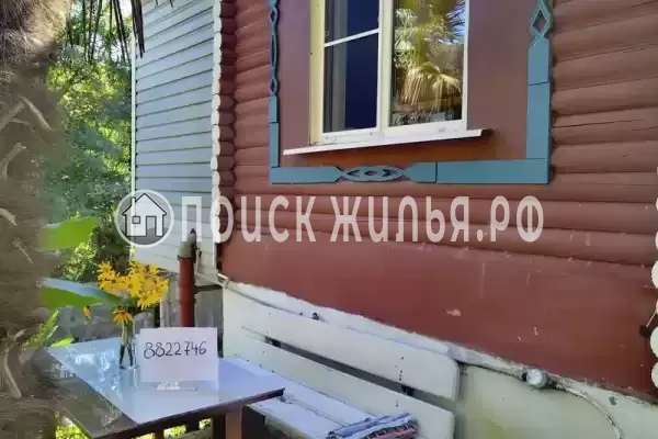 «Пальма Де Мацеста» «Пальма Де Мацеста»