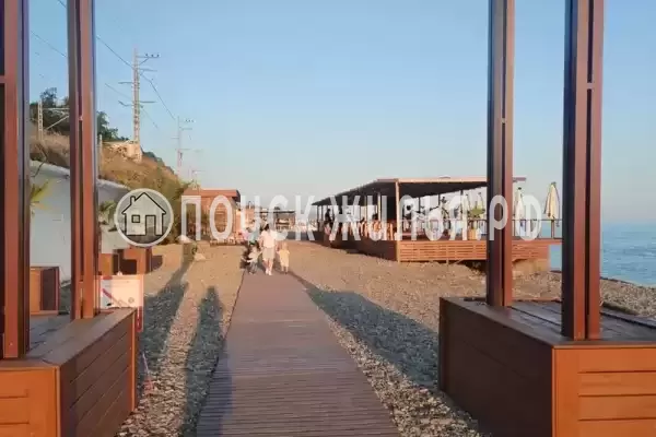 «Пальма Де Мацеста» «Пальма Де Мацеста»