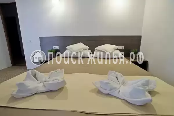 «Белое солнце» «Белое солнце»