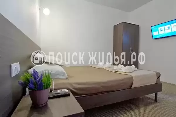 «Белое солнце» «Белое солнце»