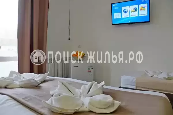 «Белое солнце» «Белое солнце»