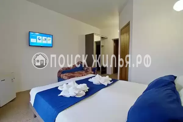 «Белое солнце» «Белое солнце»