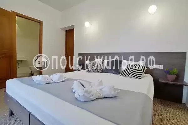 «Белое солнце» «Белое солнце»