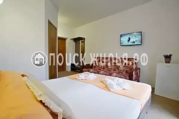 «Белое солнце» «Белое солнце»