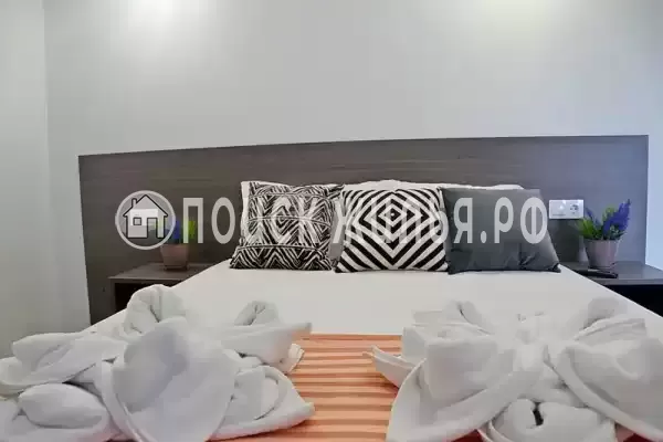 «Белое солнце» «Белое солнце»