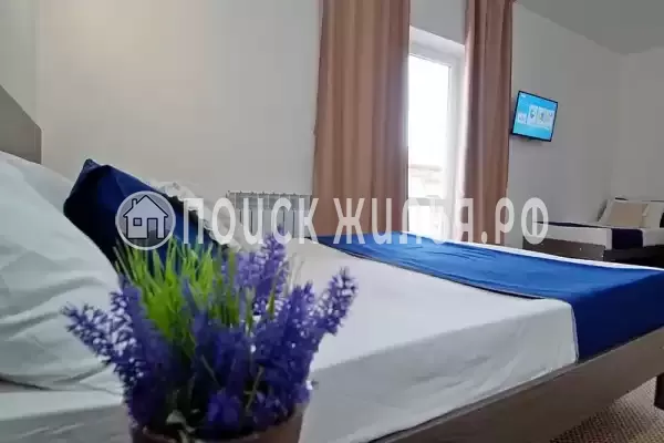 «Белое солнце» «Белое солнце»