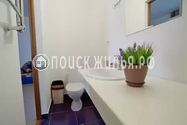 «Белое солнце» «Белое солнце»