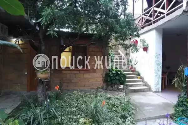 «Олива» «Олива»