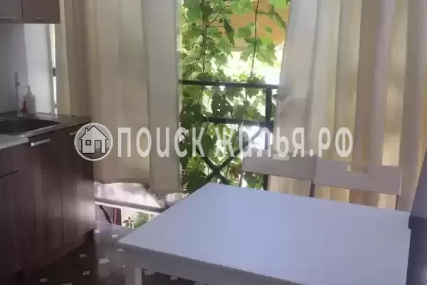 «У Совы» «У Совы»