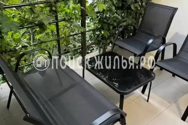 «У Совы» «У Совы»