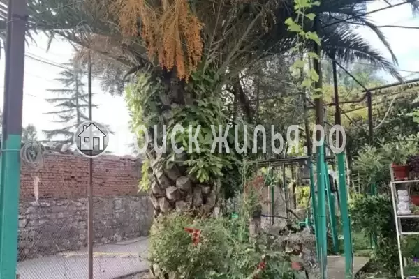 Гостевой дом «Davidoff»