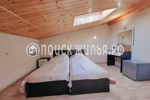 «Lion Castle» «Lion Castle»