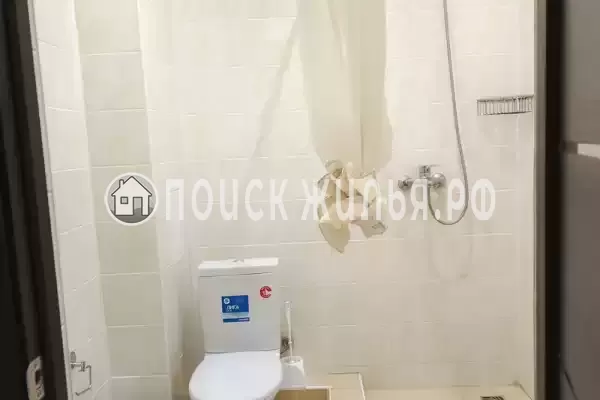 «Lion Castle» «Lion Castle»