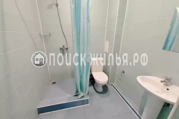 «Lion Castle» «Lion Castle»