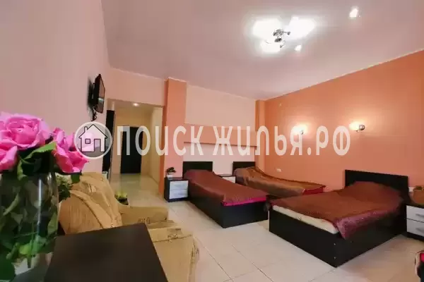 «Lion Castle» «Lion Castle»