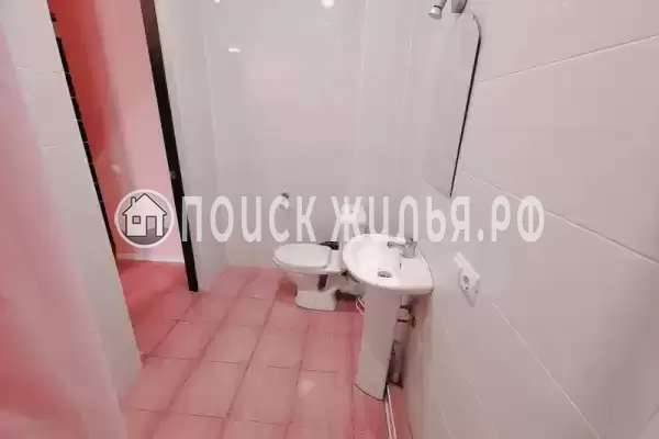 «Lion Castle» «Lion Castle»