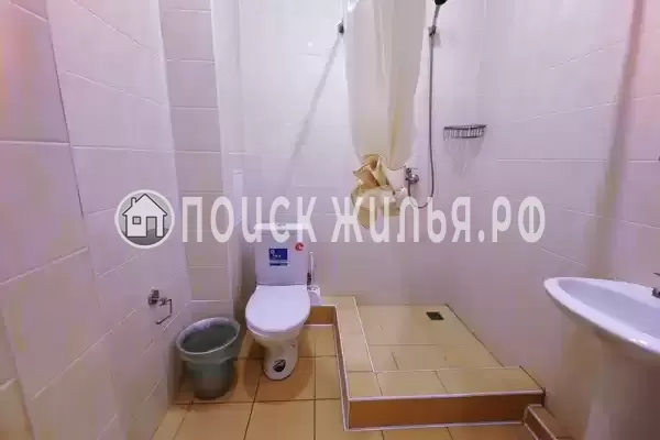 «Lion Castle» «Lion Castle»