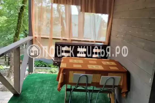 «Чайка на первом»