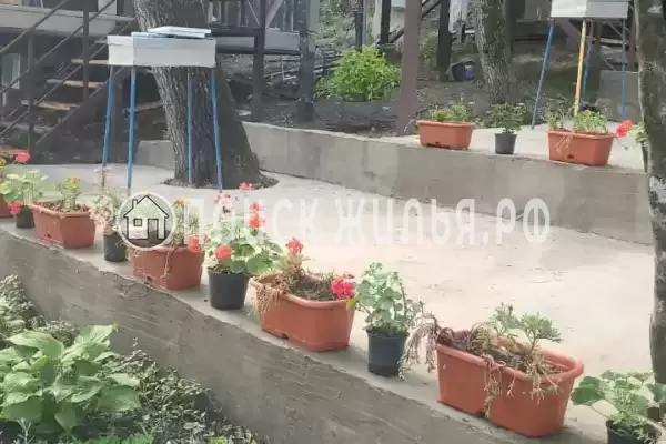 «Чайка на первом»