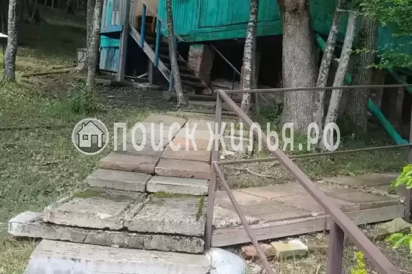 «Чайка на первом»