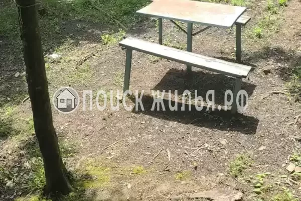 «Чайка на первом»