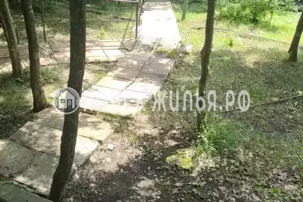 «Чайка на первом»