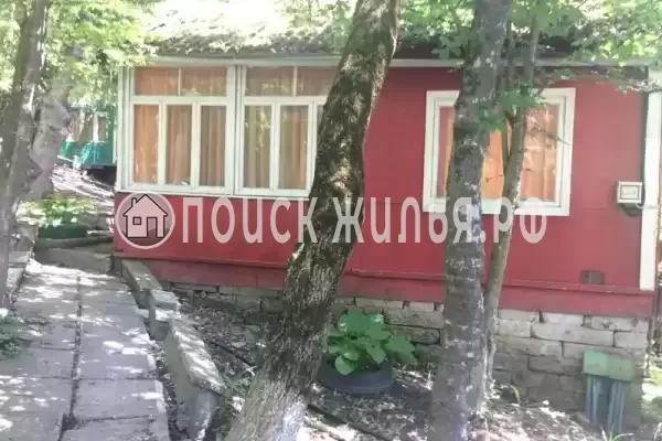 «Чайка на первом»