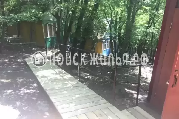 «Чайка на первом»