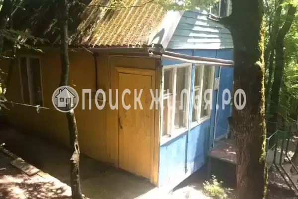 «Чайка на первом»