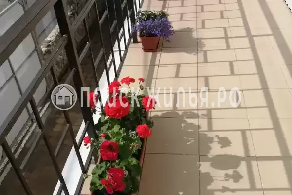 «Альпийская горка»