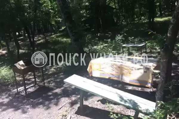 «Чайка на первом»