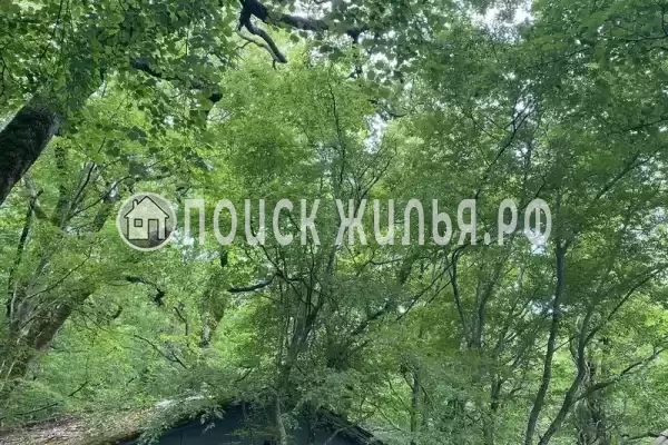 База отдыха «Затерянный рай»